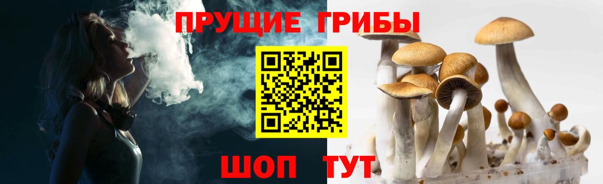 Псилоцибиновые грибы Psilocybine cubensis  Вход с VPN  продажа наркотиков  Усть-Илимск 