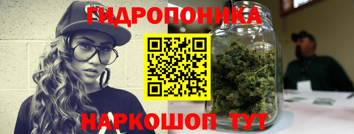 Канабис White Widow  МАРИХУАНА семена  Бошки марихуана планчик  Вход с VPN  Усть-Илимск 
